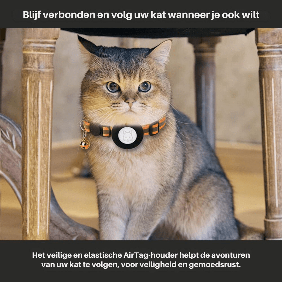 Katzenhalsband mit GPS und Reflexstreifen, Verstellbar