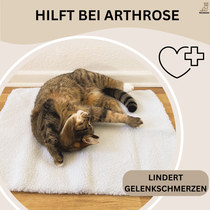 Selbstwärmende Katzenmatte – WarmPurr