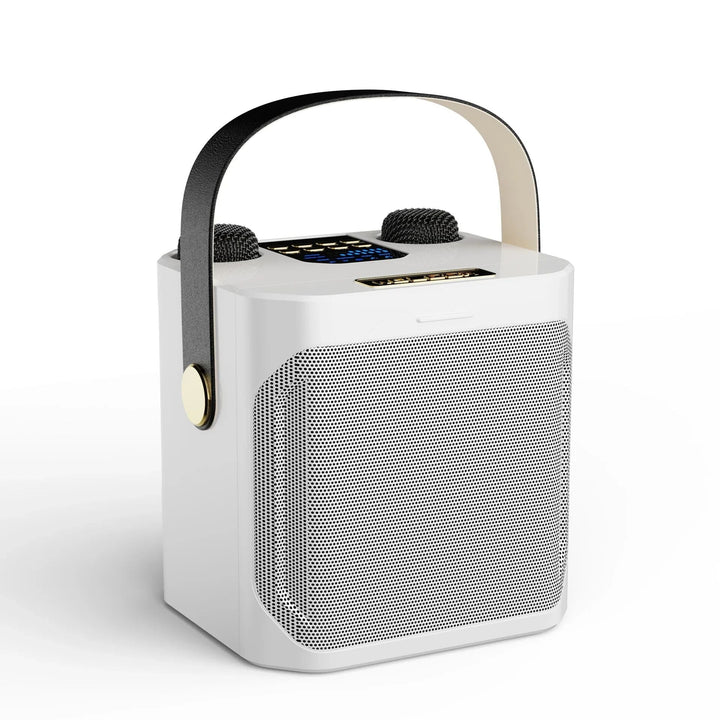 Leistungsstarker tragbarer Bluetooth-Karaoke-Lautsprecher - 360° Surround