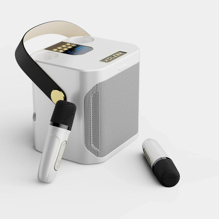 Leistungsstarker tragbarer Bluetooth-Karaoke-Lautsprecher - 360° Surround