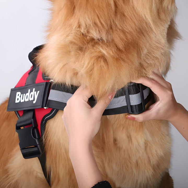 Personalisierbares Hundegeschirr – reflektierendes und stützendes Design