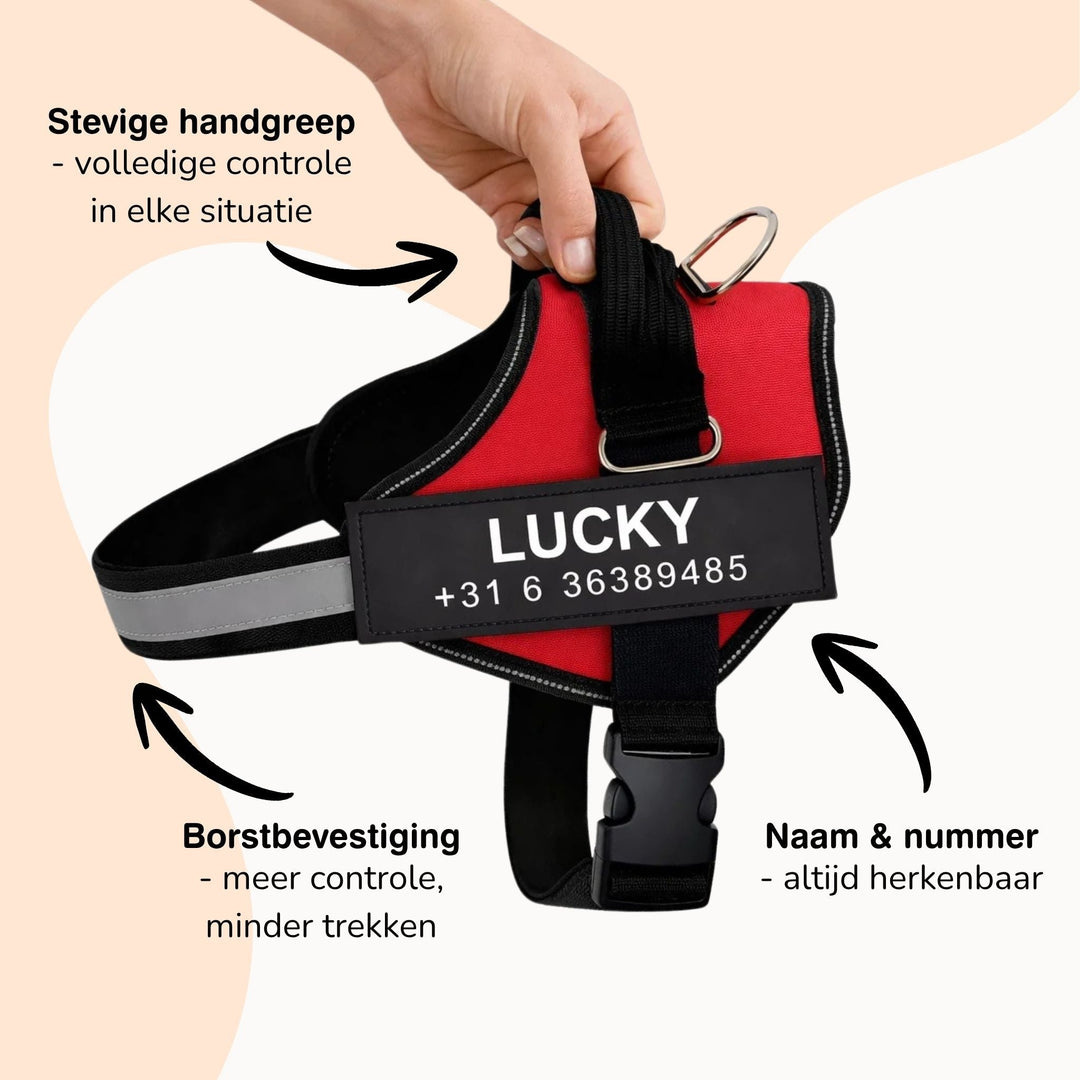Personalisierbares Hundegeschirr – reflektierendes und stützendes Design