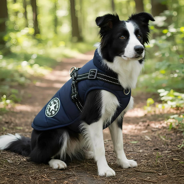Winter Hundemantel mit integriertem Geschirr, gepolstert und gefüttert
