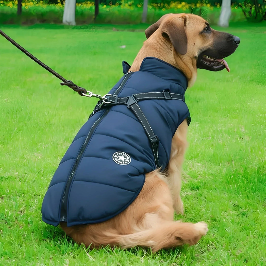 Winter Hundemantel mit integriertem Geschirr, gepolstert und gefüttert