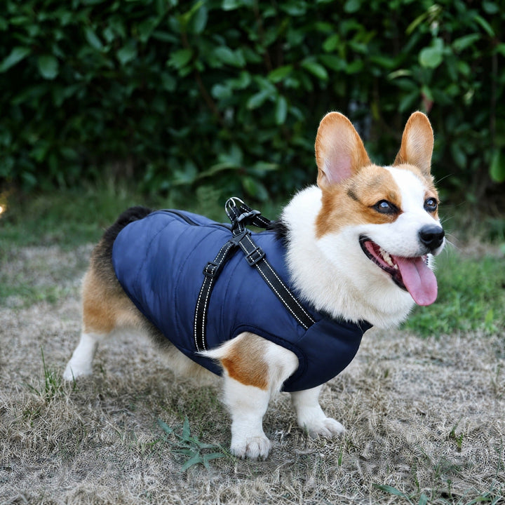 Winter Hundemantel mit integriertem Geschirr, gepolstert und gefüttert