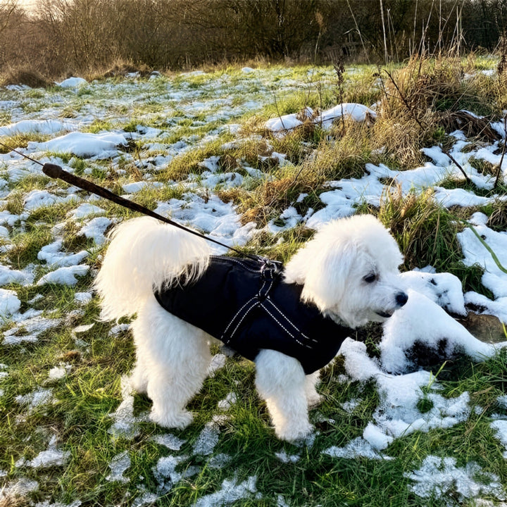 Winter Hundemantel mit integriertem Geschirr, gepolstert und gefüttert