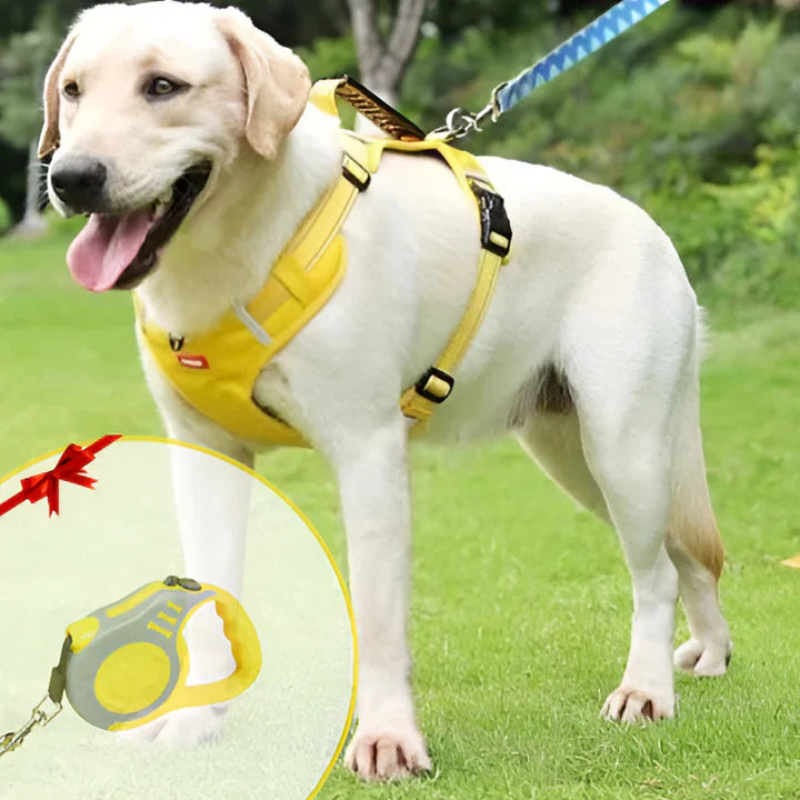 Anti-Zug-Hundegeschirr mit bequemer Passform und verbesserter Kontrolle
