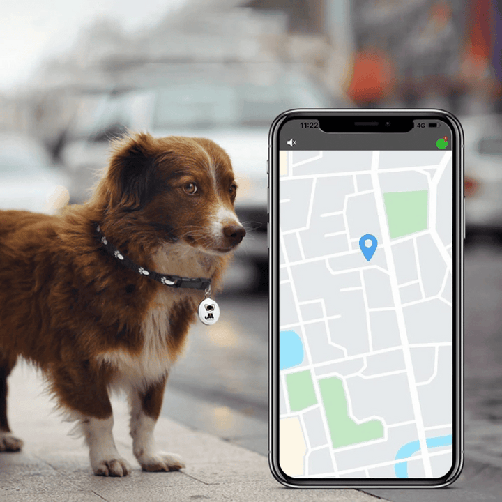 GPS-Tracker für Tiere - Hunde und Katzen - Android und iOS