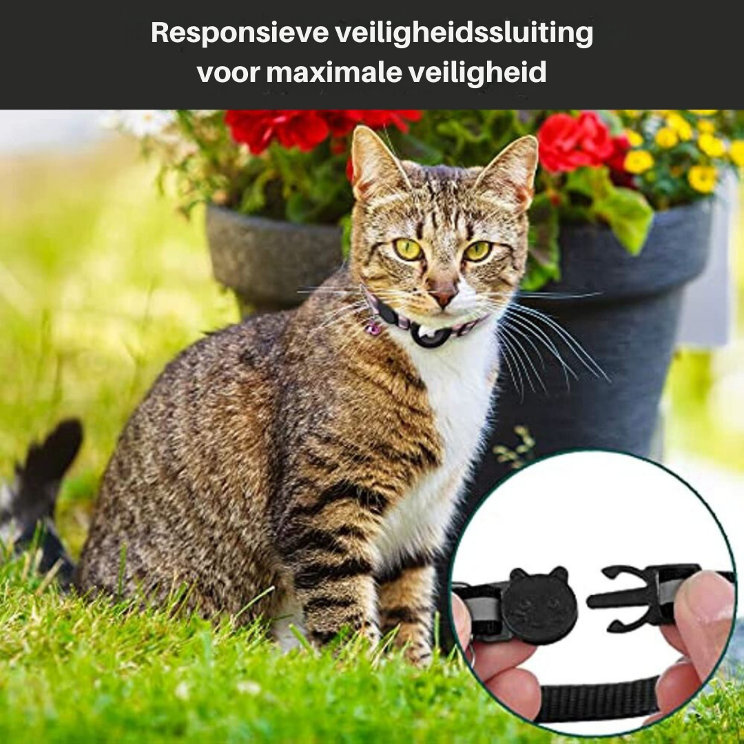 GPS-Halsband für Katzen mit reflektierendem Design