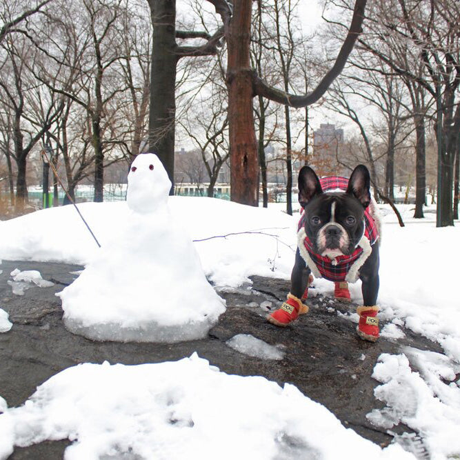 Warme Schneestiefel für Hunde - SnowPaws