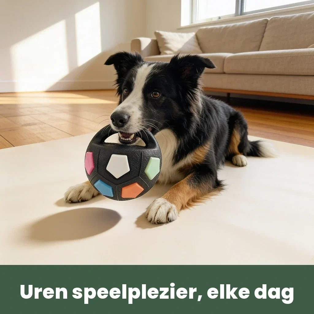 Unzerstörbarer Hundeball für starke Kauer